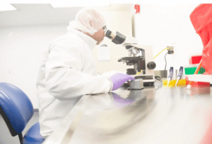 Chemical Composition Analysis